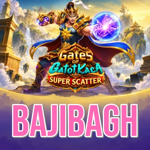 ধাপে ধাপে ইনস্টল গাইড - bajibagh