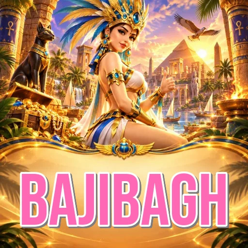 bajibagh Expert Team