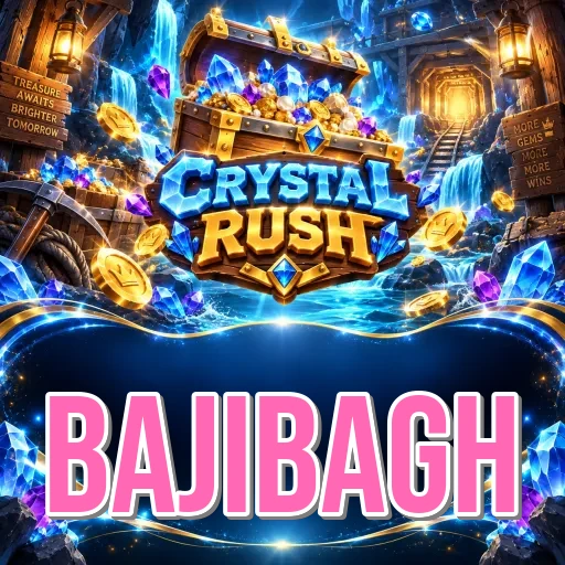 Developer Info bajibagh