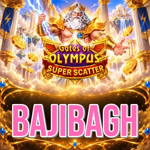 bajibagh ইনস্টল সফল