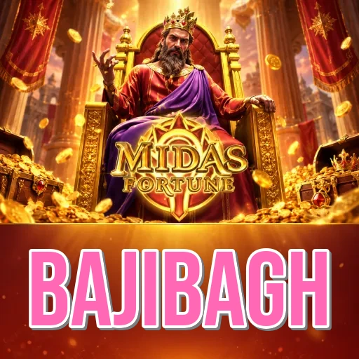 bajibagh Overview