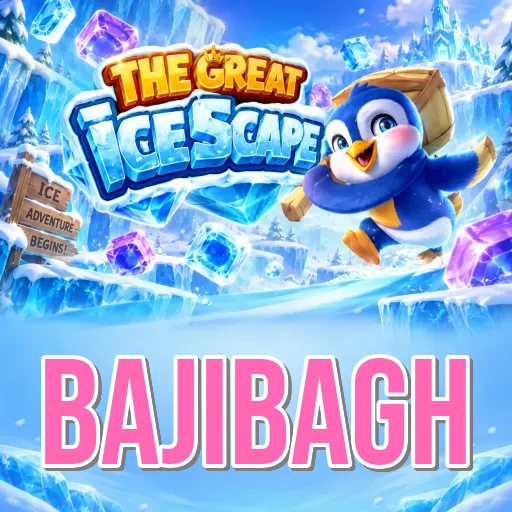 ভিডিও ইনস্টল টিউটোরিয়াল - bajibagh